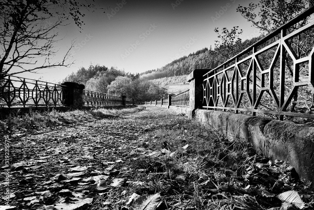 Neidpath Railway Viaduct