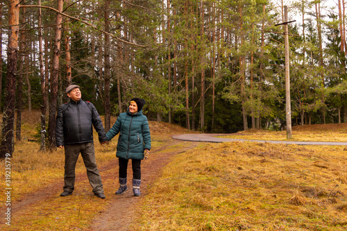 Elderly men and a woman walk along a forest path together.