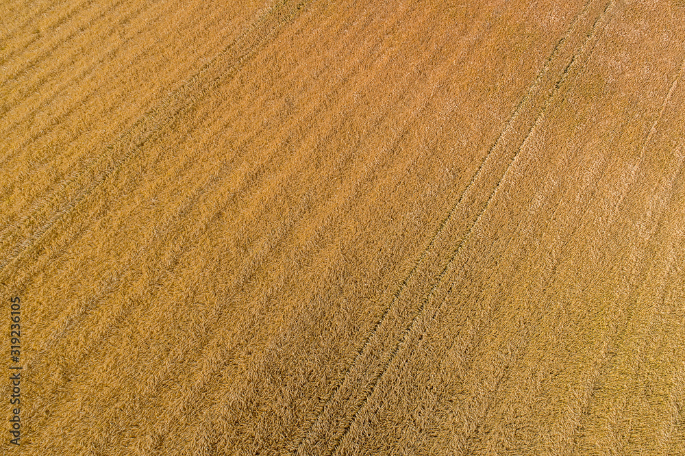 field aerial view field aerial view