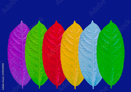 A group of leaf fantasy color