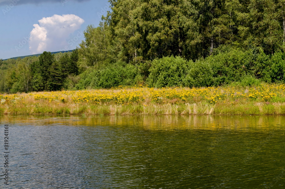 Landscape by Vlasinsko lake in Sarbia Landscape by Vlasinsko lake in Sarbia