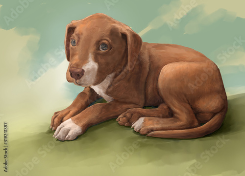 illustration painting of the dog , Drawing ,Hand drawn home pet.digital art style