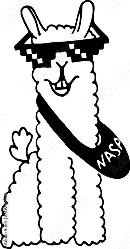 cute doodle alpaca for greeting cards, prints, kids illustrations and thematic designs