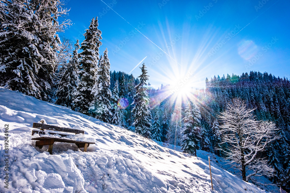 Fototapeta premium wintertime