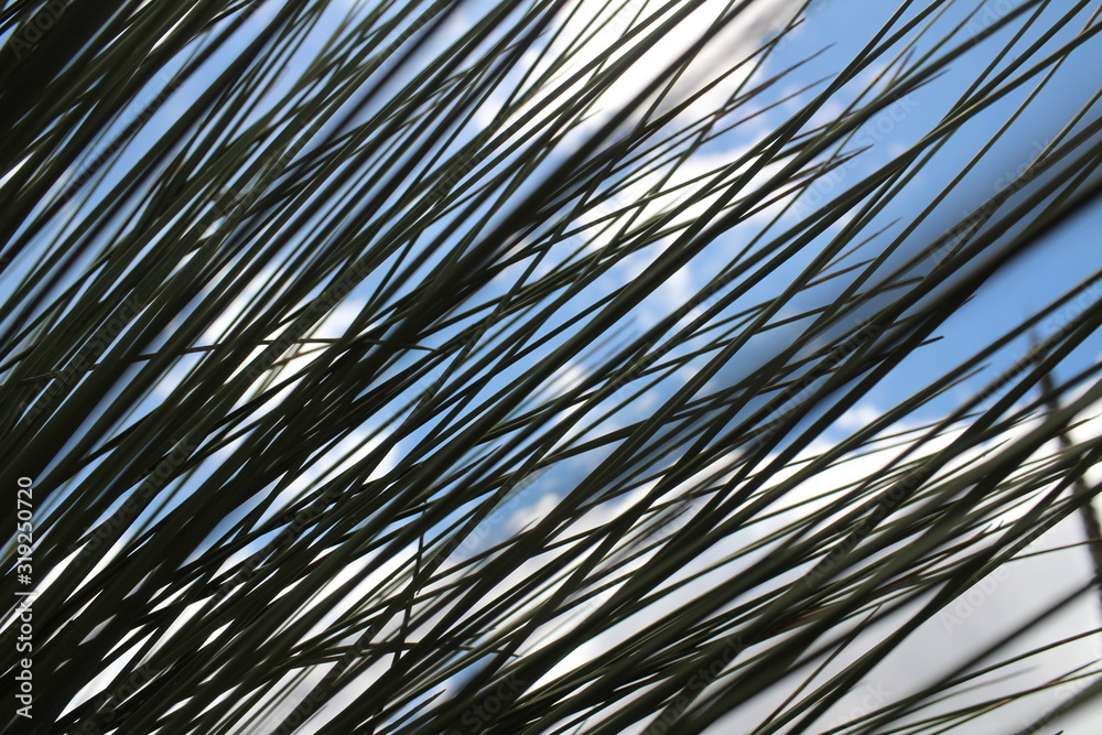 Obraz premium CLOUDSCAPE