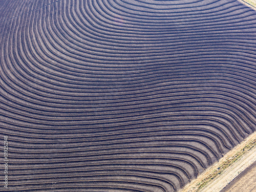 Plowed land to harvest crops. Agriculture Aerial view