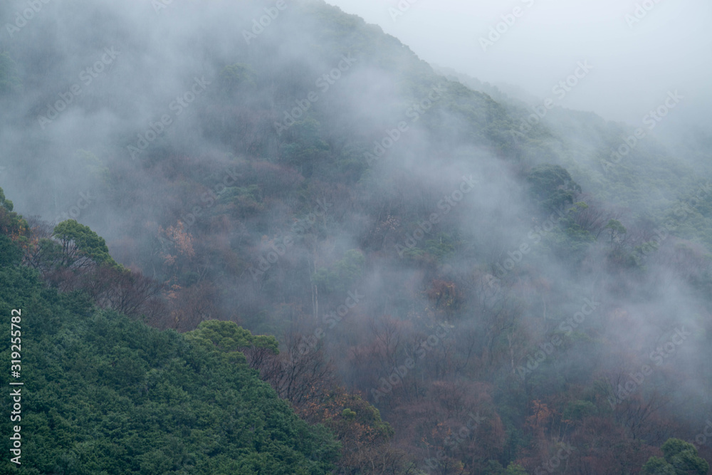 霧のかかった山 霧のかかった山