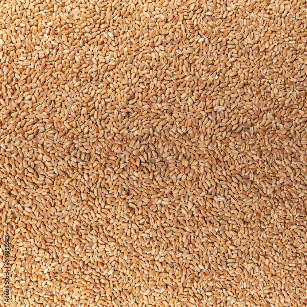 Food Background with Wheat Grains