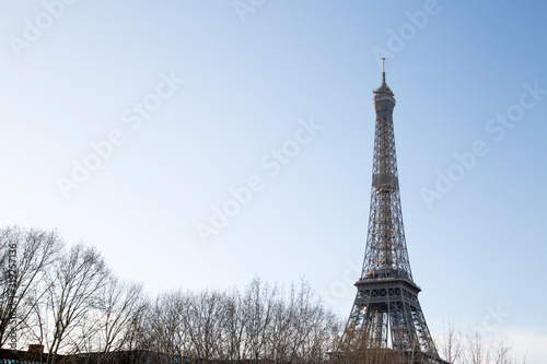 Eiffel Tower and Trees  Paris