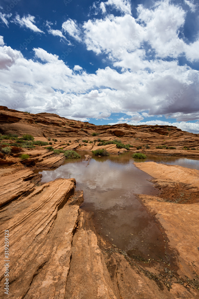 Rock patterns in the Arizona desert landscape