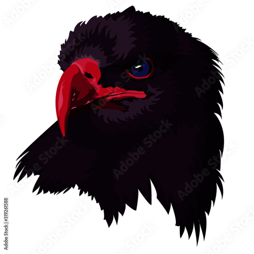 Eagle Vector Pink Illustrator 