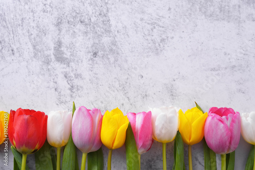 wielobarwne-tulipany-na-betonowej-scianie