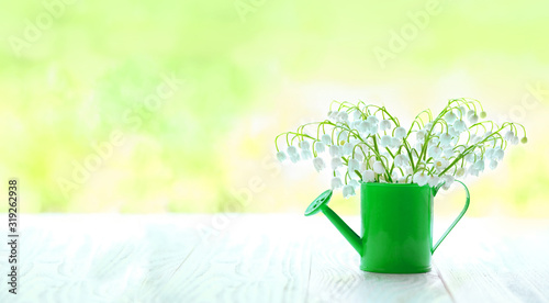 Fototapeta Naklejka Na Ścianę i Meble -  Lily of the valley in green watering can. symbol of spring season, flowering time. beautiful romantic composition with flowers. copy space. 