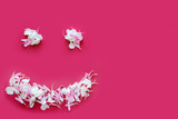 Smile laid out on a pink background of flower petals