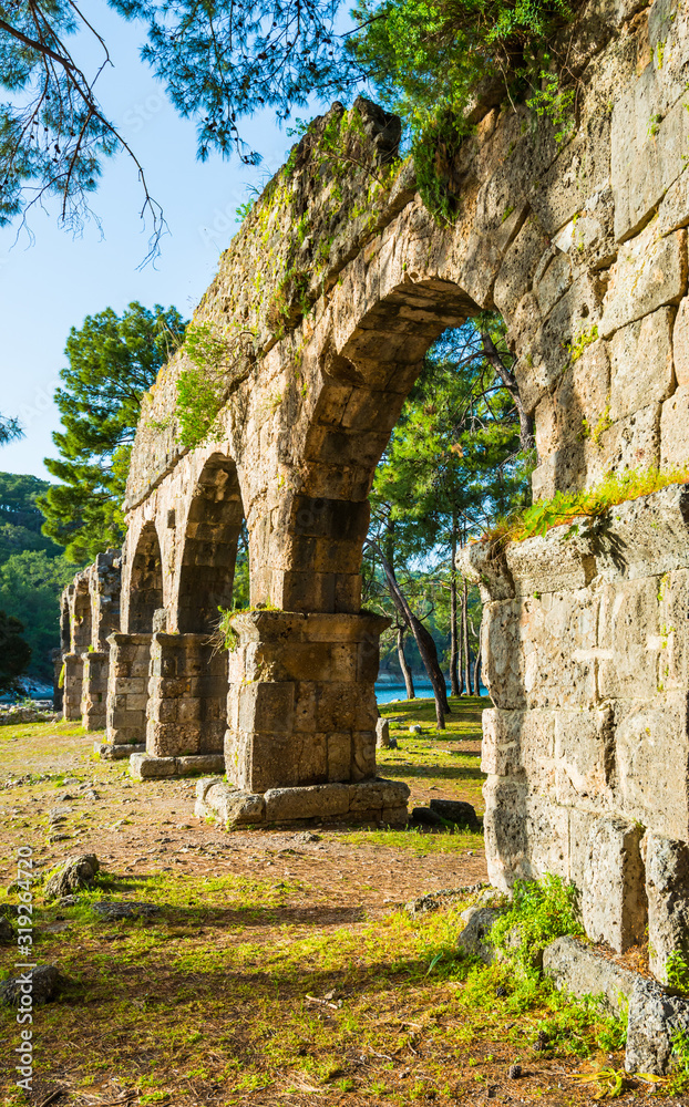 Phaselis lycian town ancient aqueduct in Turkey vertical