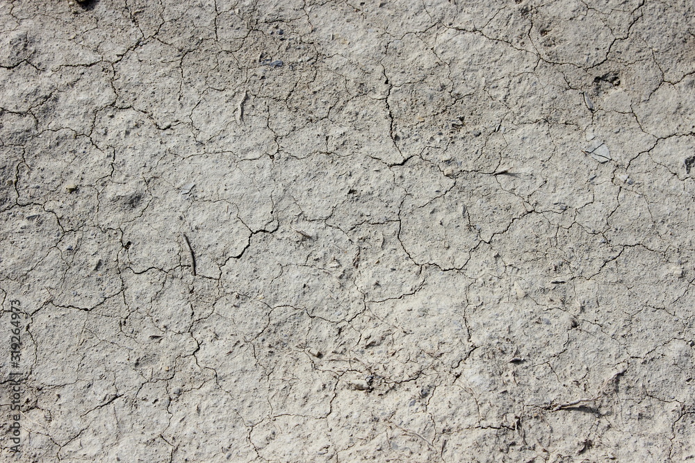 Texture of cracked dry ground Texture of cracked dry ground