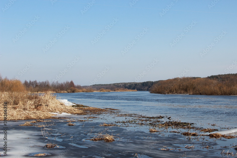 Berezina river flood in spring