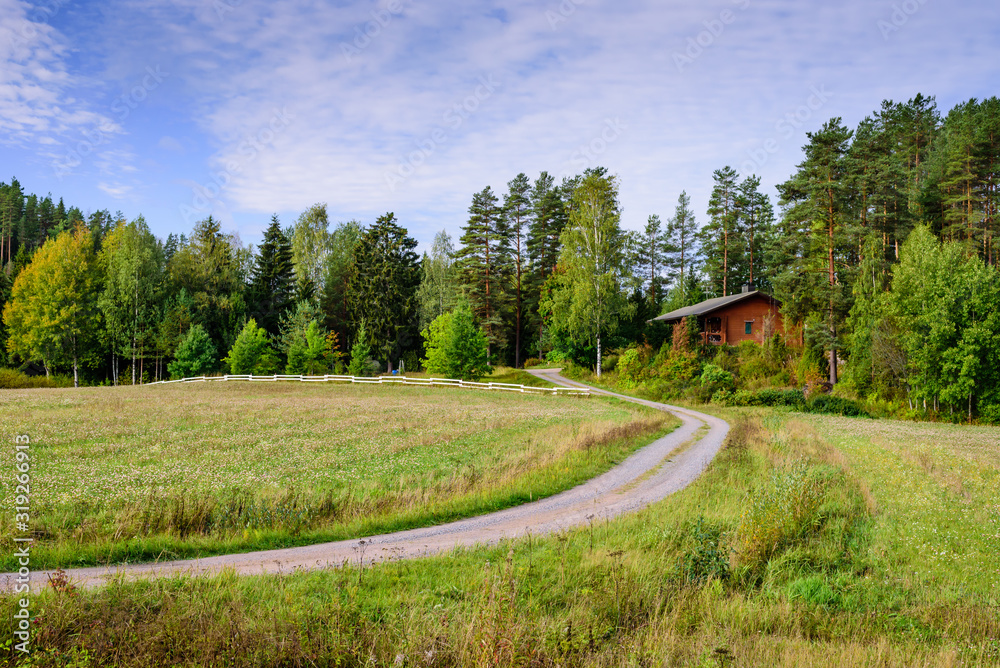 Country road in Finland, typical summer landscape