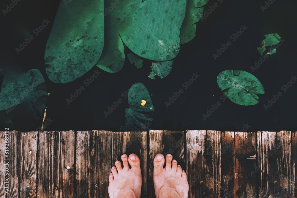 Lotus leaves on lake top view with legs. Natural beautiful wallpaper,  background with feet. Aquatic botany, lily pads. Deep, dark river water and  wooden texture. Outdoor summertime beauty Stock Photo | Adobe