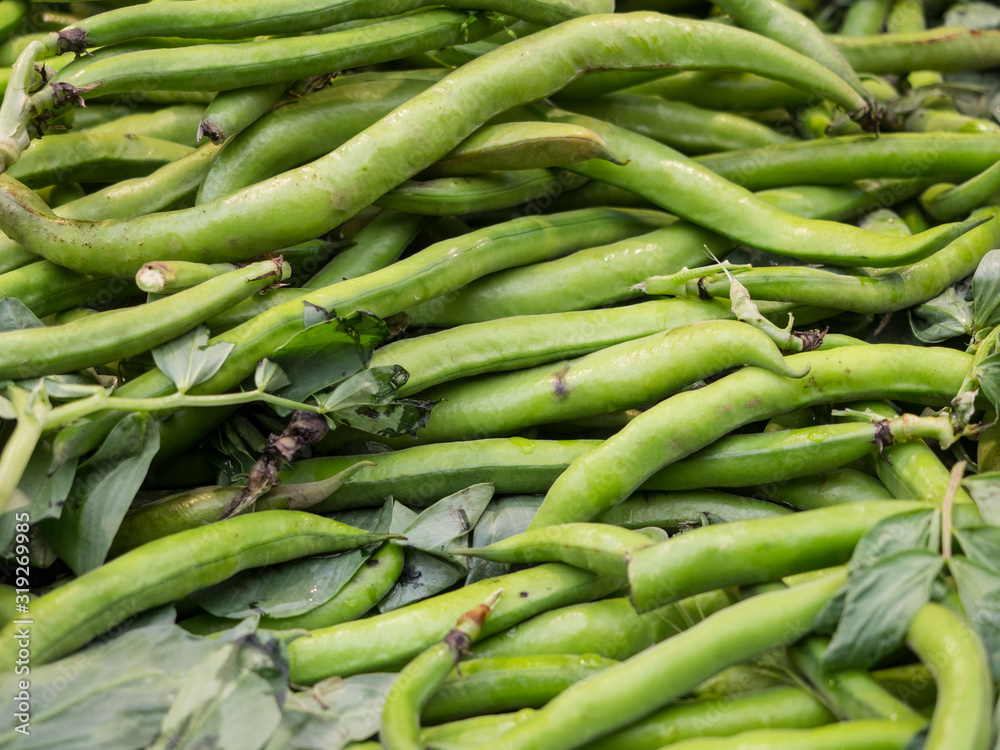 Group of raw green beans with peel Group of raw green beans with peel