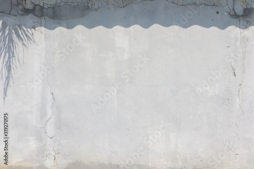 Concrete wall with wave shadows and leaves shadows on top image.