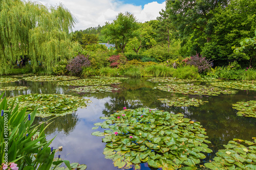 Giverny, France. Picturesque pond with water lilies in the estate of Claude Monet