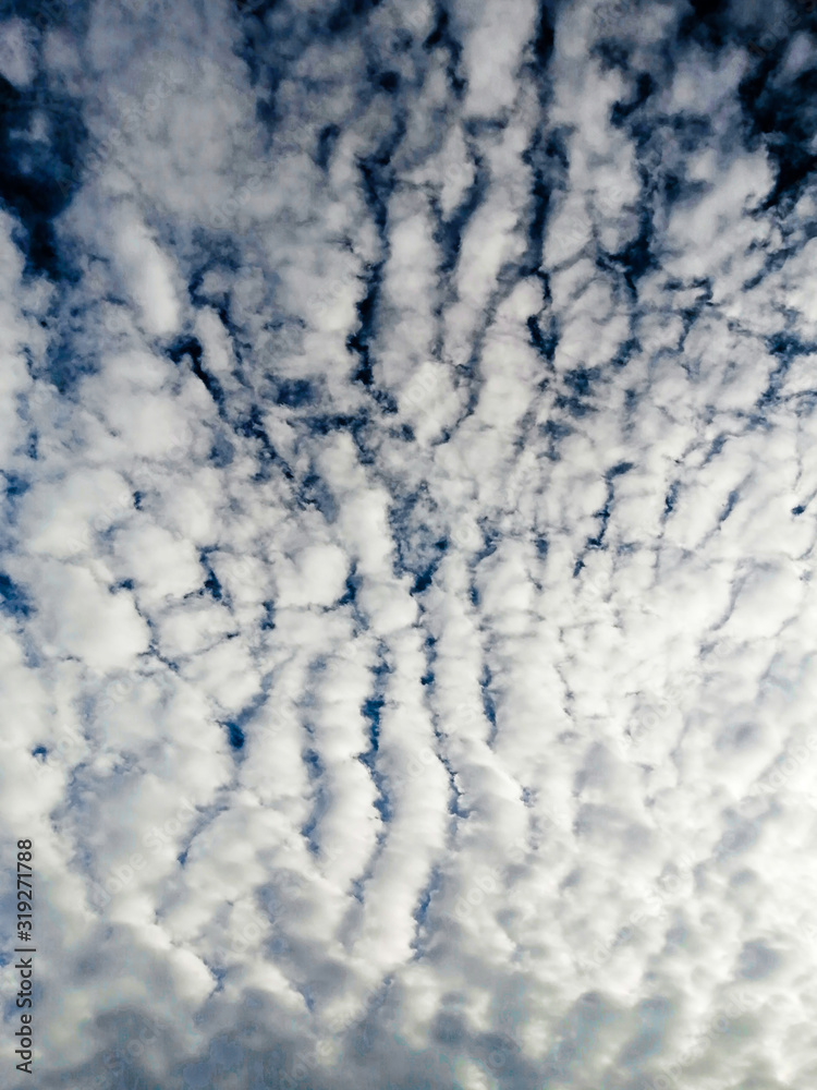 Fototapeta premium blue sky and clouds