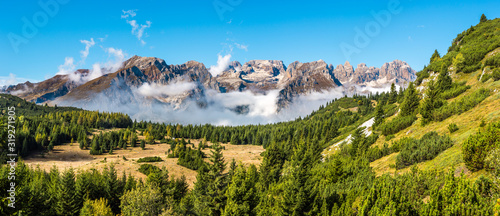Fotografering Beautiful forest park with Brenta mountain range in the background, Dolomites (I