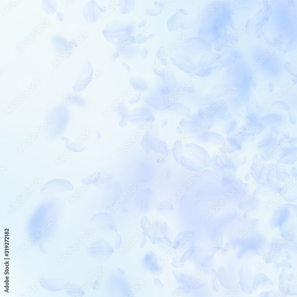 Light blue flower petals falling down. Amusing rom Light blue flower petals falling down. Amusing rom