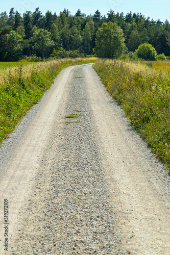 Gravel Road in Summer with Forest