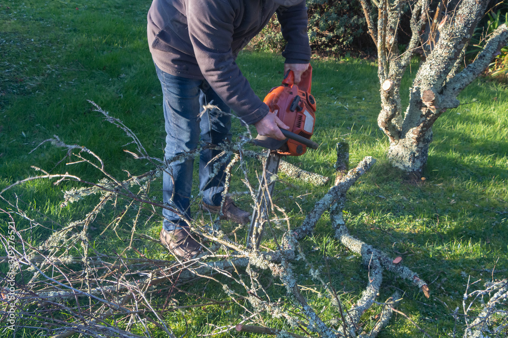 Lumberjack cutting branch on the ground with a chain saw Lumberjack cutting branch on the ground with a chain saw