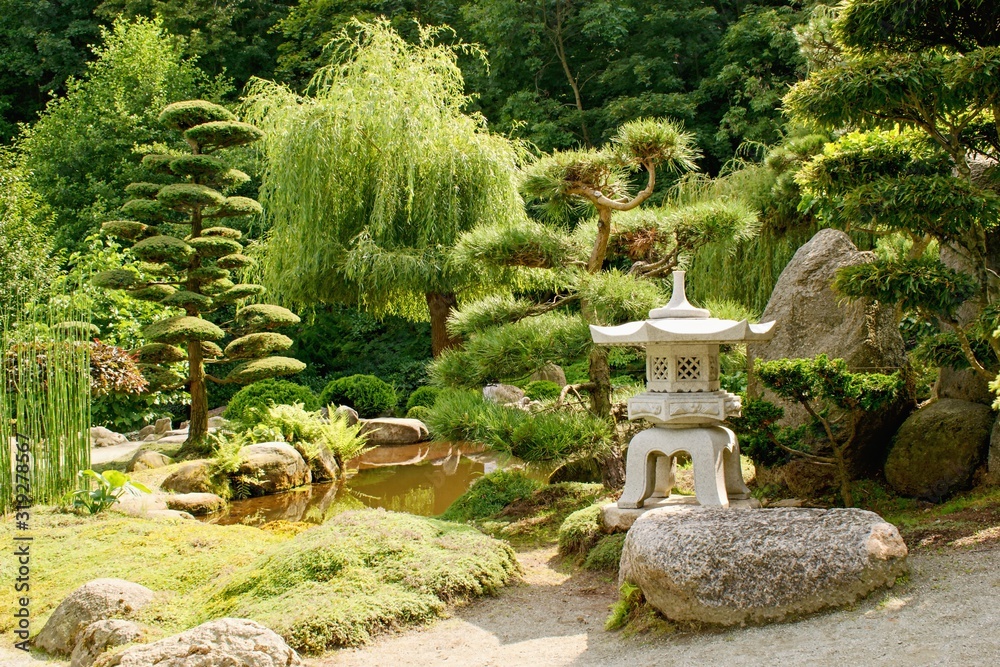 Beautiful decorative japanese garden in summer time - obrazy, fototapety, plakaty 