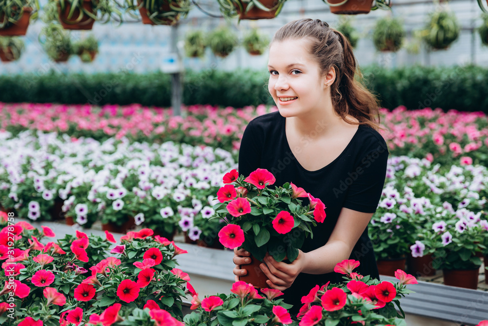 young beautiful long-haired girl in a greenhouse with colorful flowers petunias in spring