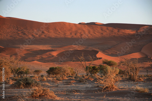 pustynia namib w namibii o zachodzie słońca