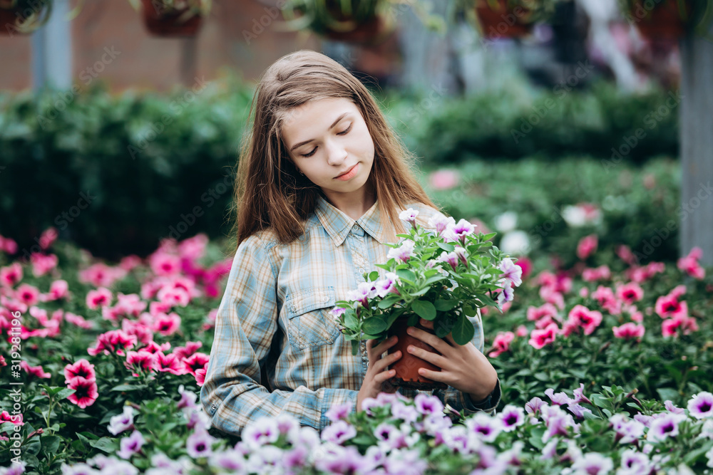 young beautiful long-haired girl in a greenhouse with colorful flowers petunias in spring