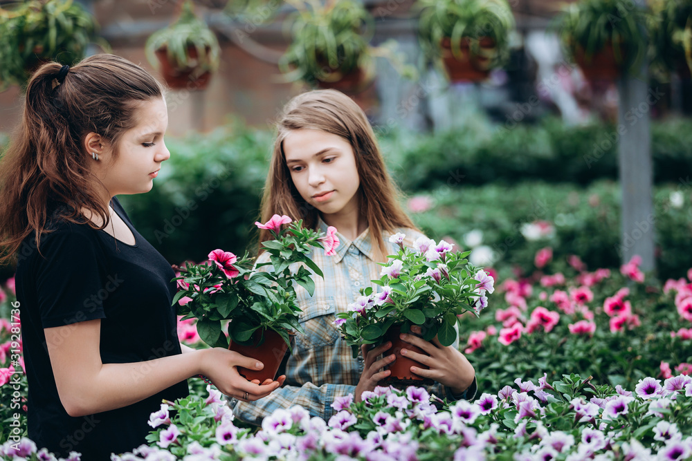 Two beautiful Slovenian girls in a greenhouse discussing seedlings of colorful flowers. Shopping, gardening. Ecology
