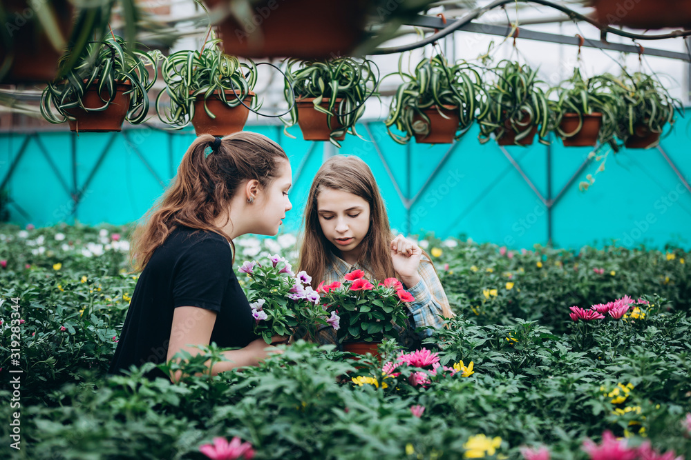 Two beautiful Slovenian girls in a greenhouse discussing seedlings of colorful flowers. Shopping, gardening. Ecology Two beautiful Slovenian girls in a greenhouse discussing seedlings of colorful flowers. Shopping, gardening. Ecology