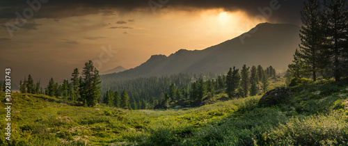 Panoramic view with mountain range, evergreen cedar trees, green grass valley and dramatic clouds sunset in Chamar-Daban, Siberia, Russia, national park