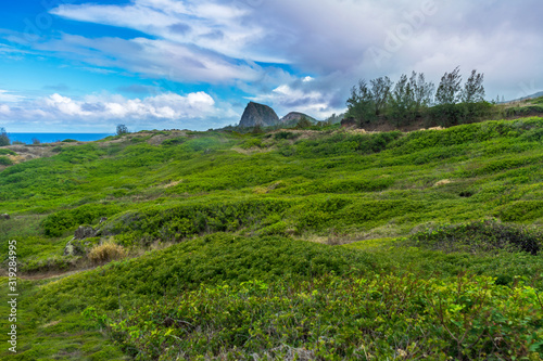 Green lush hill with Kahakuloa Head in the distant background in Maui, Hawaii.