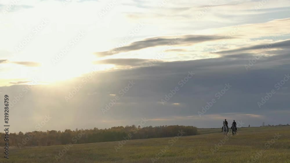 Two horsewomen at sunset. Horse riding in the field. Two horsewomen at sunset. Horse riding in the field.