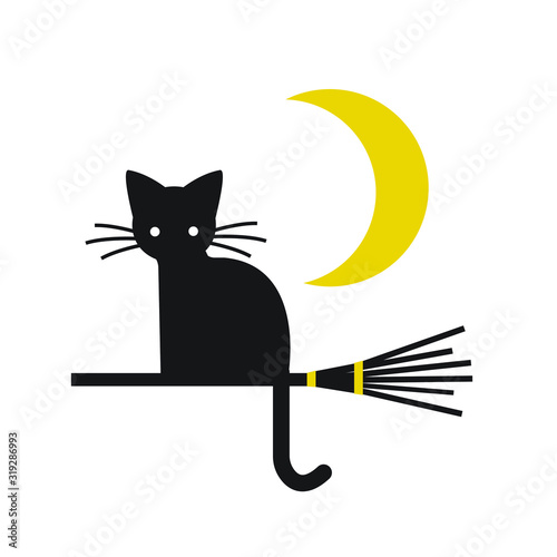 Cat sitting on a broom with moon vector illustration