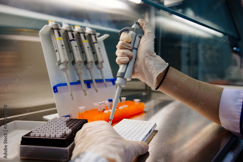 Scientist puts samples of of DNA fragments for electrophoresis using pipette Scientist puts samples of of DNA fragments for electrophoresis using pipette