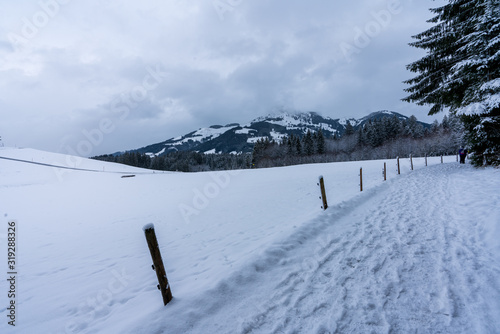 Winterwanderweg im tief verschneiten Wald © lexpixelart