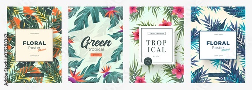 Set of Bright tropical backgrounds with jungle plants. Exotic patterns with tropical leaves