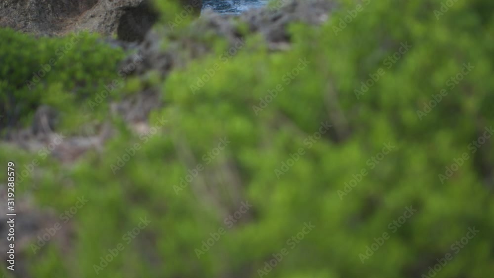 沖縄県の神の島と呼ばれる久高島行の風景-Scenery of Kudakajima Island, called the island of God in Okinawa Prefecture