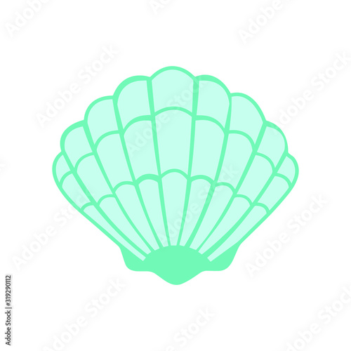 seashell turquoise illustration vector