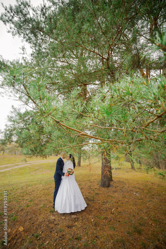 Happy bride and groom stand by the pine tree and hug. Happy bride and groom stand by the pine tree and hug.