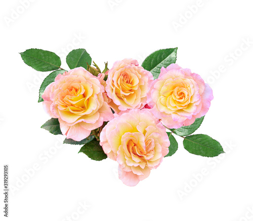 Bunch of pink-yellow rose flowers isolated on white background