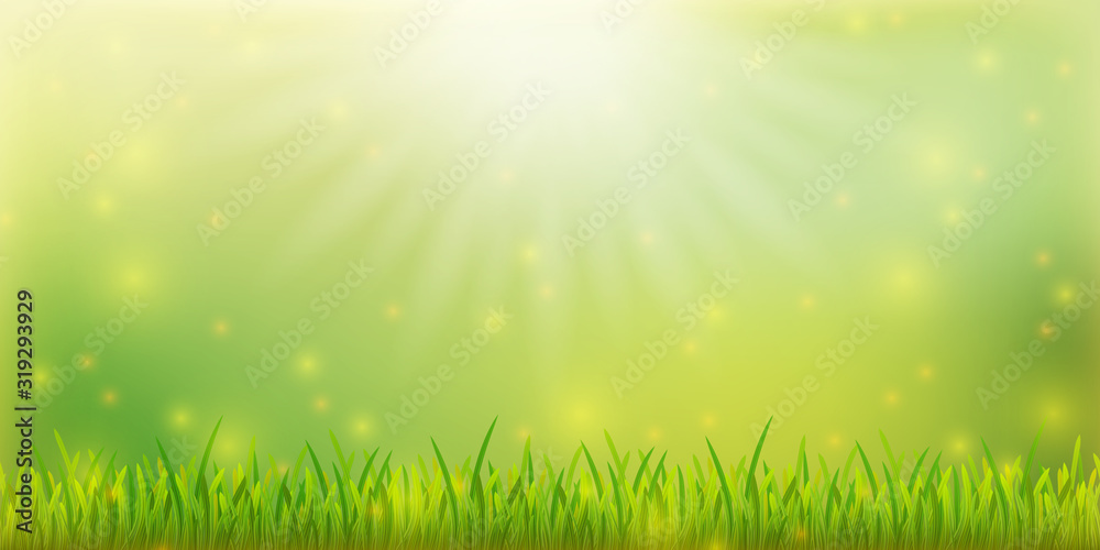 Spring  banner template with grass on colorful background. Card for spring season with lights and green nature. EPS 10