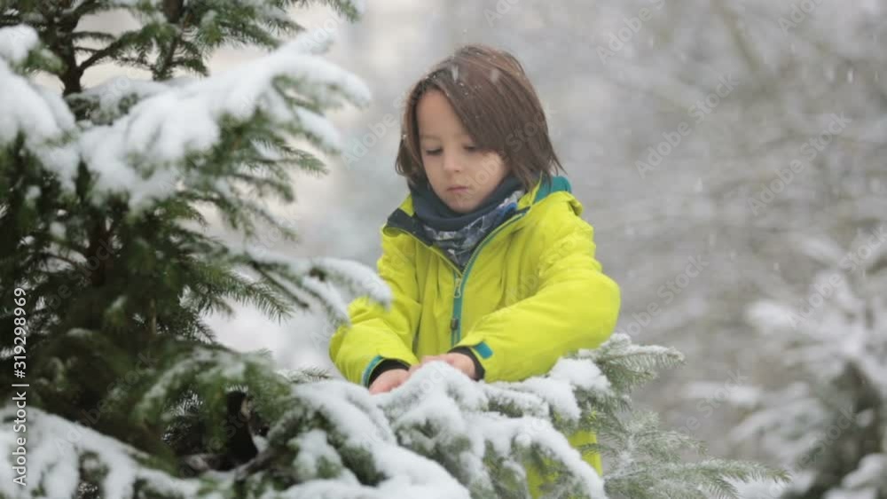 Sweet toddler boy, playing with snow on playground, kid play with snow